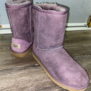 Classic Purple Uggs (Big Kids Size 5 ~ Womens 7)